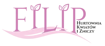 Filip - Hurtownia kwiatów sztucznych